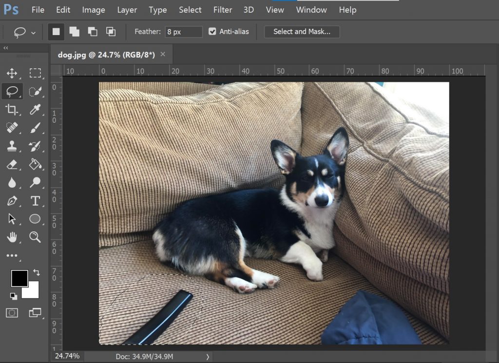 Learn to Remove Objects with the Lasso Tool in Photoshop