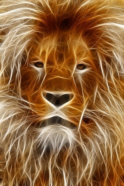 A Lion Head with Amazing Filters in ADobe Photoshop - Learn Photoshop at Intellisoft Training in Singapore