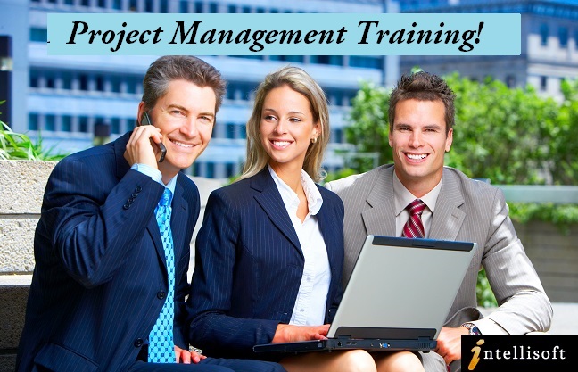 sg project management