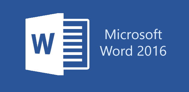 Microsoft Word Training